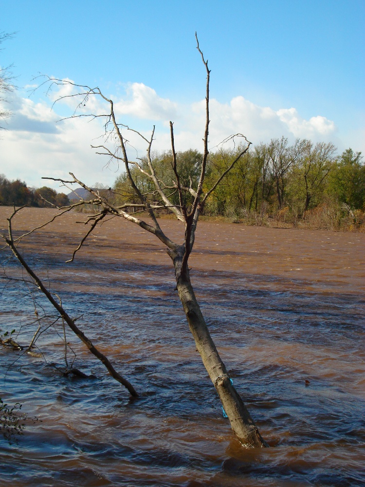 Delaware River near Herrick Township