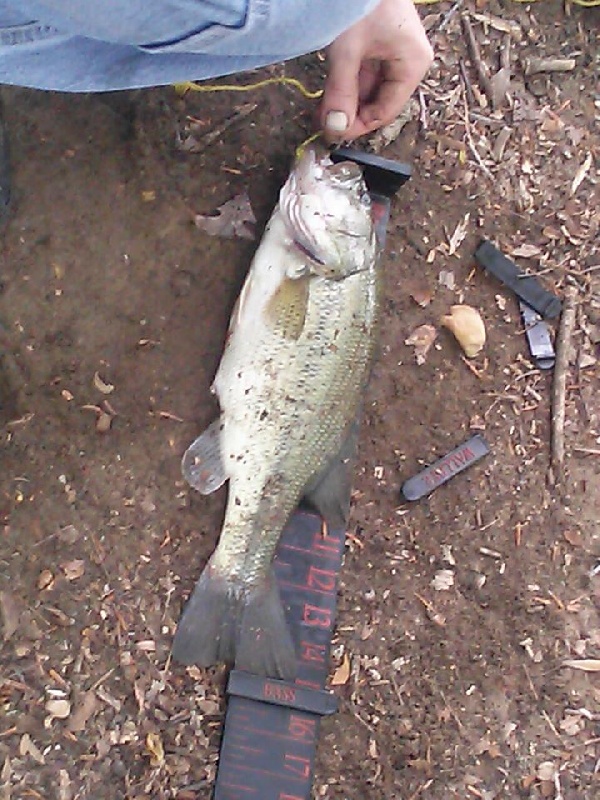 Chester Heights Township fishing photo 2