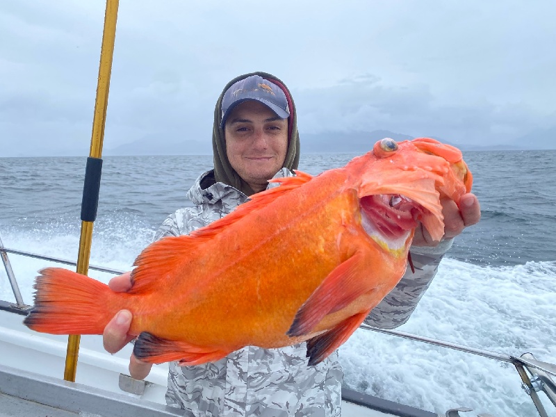 Yelloweye Rockfish #Alaska