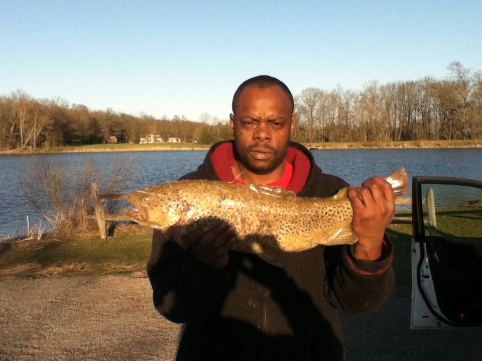 Brown trout near Sellersville