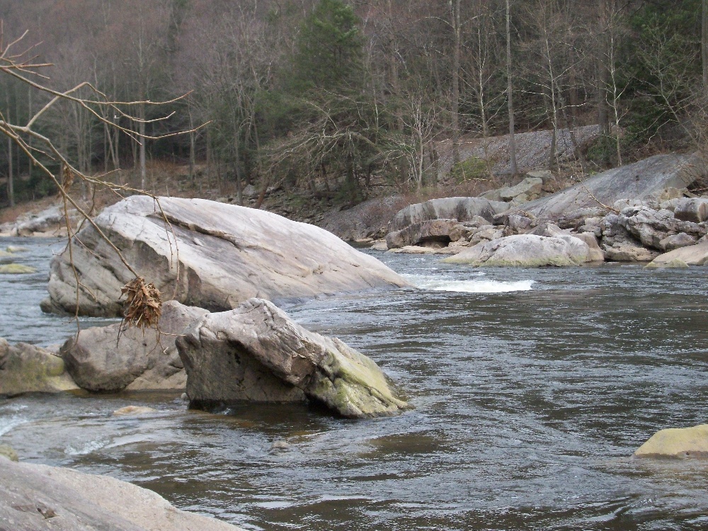Cheat River near Wharton Township