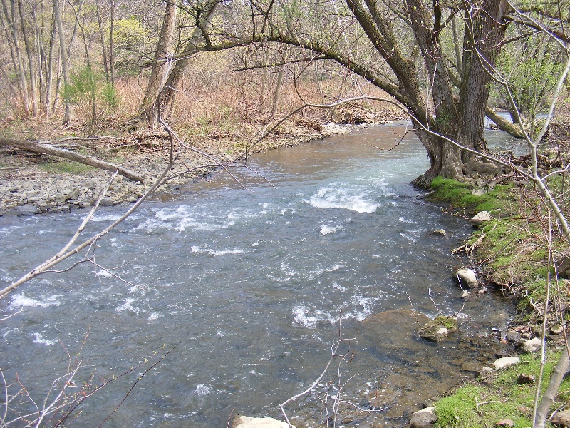 Trout Fishing near Atwood