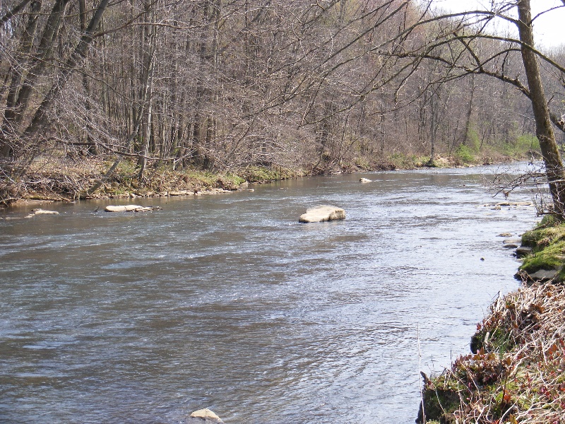Allegheny Township fishing photo 3