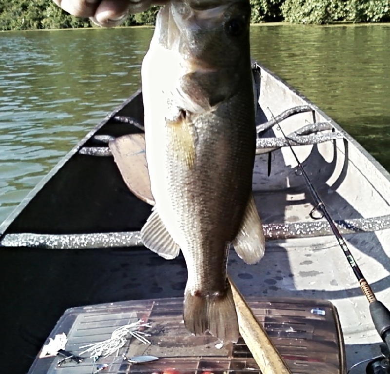 Washington Township fishing photo 4