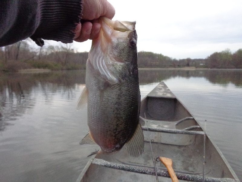 Bushkill Township fishing photo 3