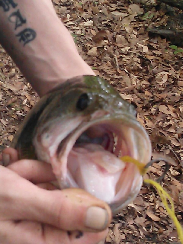 lgmouth bass near Chester Heights Township