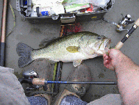 Big Pond  Fishing Report