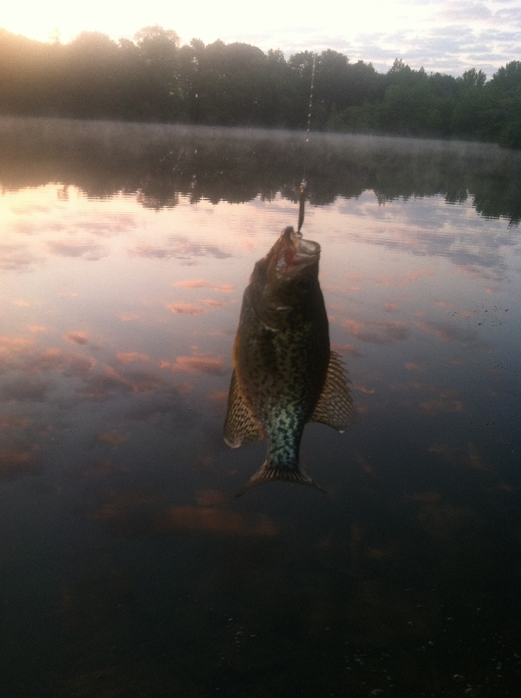 Crappie near New London Township