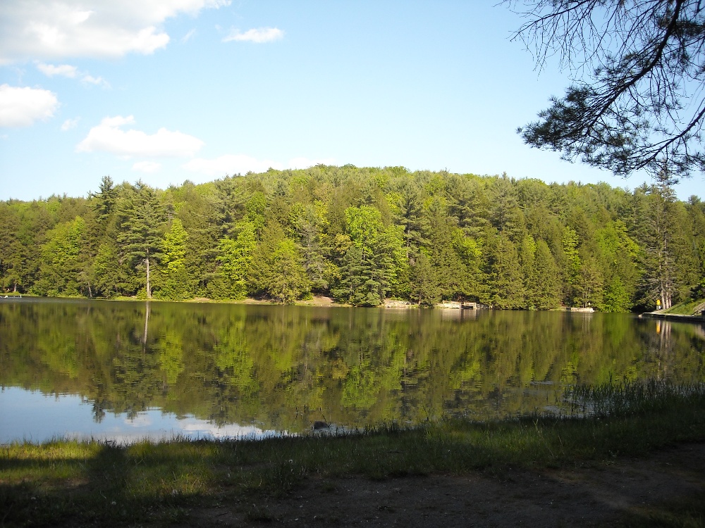 Halfway Lake near Gregg township
