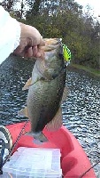 Stewart Lake Fishing Report
